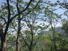 -白草畔自然风景区