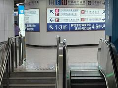 -东方体育中心(地铁站)