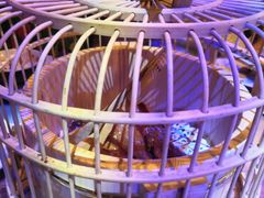 -临界音乐酒馆·小龙虾·江湖菜(华熙LIVE·鱼洞店)