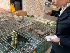 -寻味顺德·南记酒家·传统顺德菜·鱼生(广源路店)
