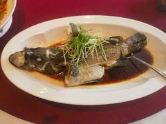 -顺峰(农展馆店)