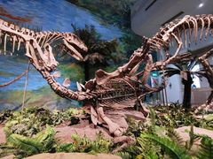 -自贡恐龙博物馆