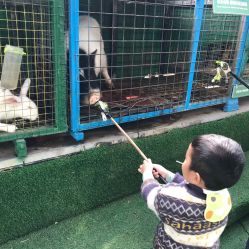 -可可天空农场(中大店)