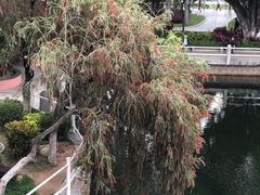 -金砂公园