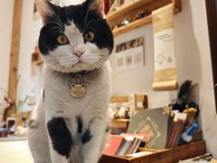 -创艺无限·赵春香微妙艺术馆