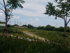 -长兴岛郊野公园农场食堂