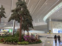 -青岛胶东国际机场