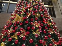 -都会尚膳·海鲜自助餐厅(重庆万豪酒店)