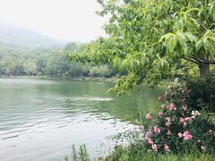 -紫霞湖公园