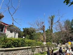 -燕塞湖鸟语林景区