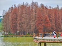 -星湖旅游景区七星岩