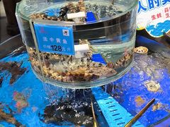 -乔家小院•非遗驴肉•本地小海鲜(滨河路店)