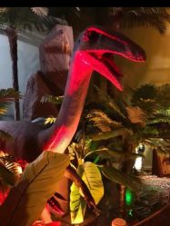 -恐龙探索乐园(磁器口店)