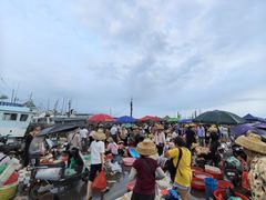 -硇洲岛旅游区
