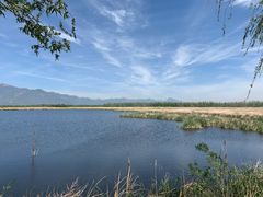 -野鸭湖国家湿地公园