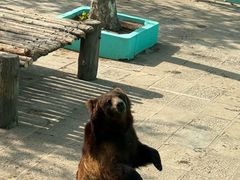 -西霞口神雕山野生动物世界