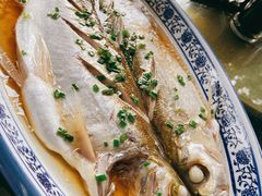 太湖白鱼-品渔味湖鲜馆(拈花湾店)