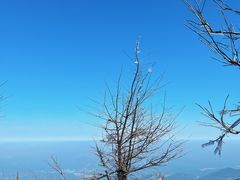 -南岳衡山风景名胜区-南岳大庙