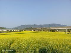 -光明小镇欢乐田园