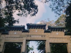 -灵谷景区