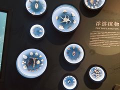 -中国湿地博物馆