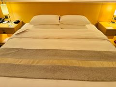 -广州白天鹅宾馆