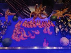 -万达瑞华酒店美食汇自助餐厅(楚河汉街店)