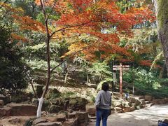 -虞山风景区