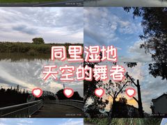 -同里国家湿地公园
