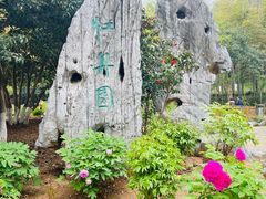 -南京古林公园