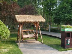 -合肥滨湖国家森林公园