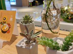 -炖物24章·顺时轻养茶(黄龙店)