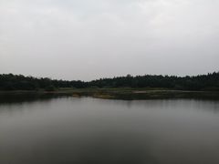 -象山森林公园