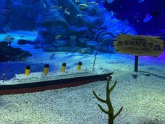 -沈阳海洋探索中心