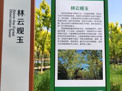 -东郊湿地公园