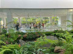 -罗红摄影艺术馆