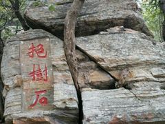 -大伊山景区