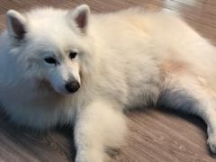 -RoMan罗马健身工作室(莘庄店)