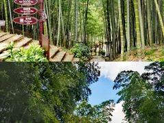 -宁波浙东大竹海景区