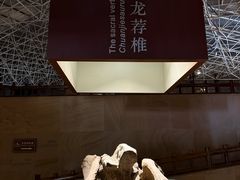 -世界恐龙谷景区