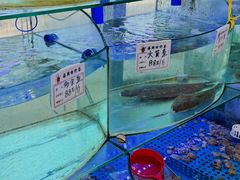 -晶渔坊·海鲜私房菜(东夷小镇店)
