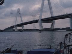 -东郊椰林