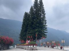 -广州市石门国家森林公园