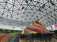 -花之城