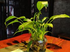 -张博士茗茶馆(外滩店)