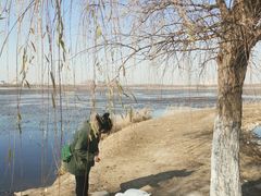 -天津东丽湖风景区