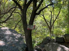 -云岫谷游猎自然风景区