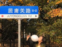 -八大关景区