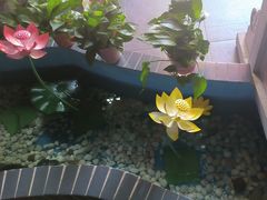 -欠火锅·水牛毛肚·团建聚餐·生日宴(何山路店)