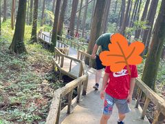 -波尔登森林公园